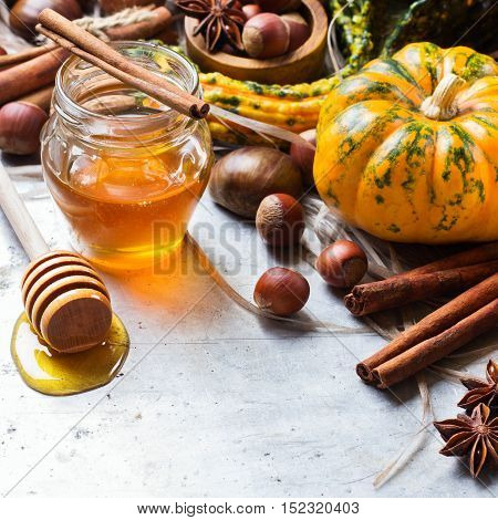 Autumn fall harvest halloween still life composition with pumpkin nuts chestnut spices honey on rustic table. Selective focus