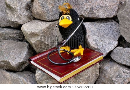 Raven sumbol hosszú élettartam.