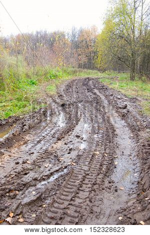 Dirt Road Across Forest Meadow