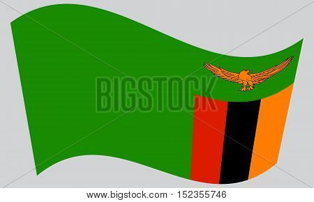 Zambian national official flag. African patriotic symbol banner element background. Correct colors. Flag of Zambia waving on gray background vector