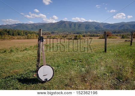 Portrait of a banjo on the smoky mountains national park