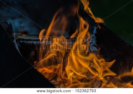 hot orange-yellow flame fire in the open air burning of coals of wood with a high temperature and bright colors