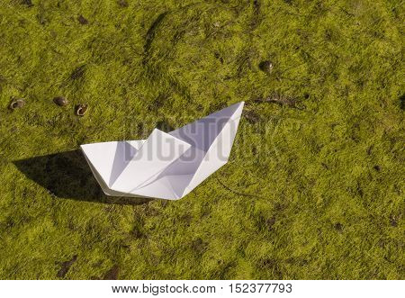 white origami paper boat on duckweed background