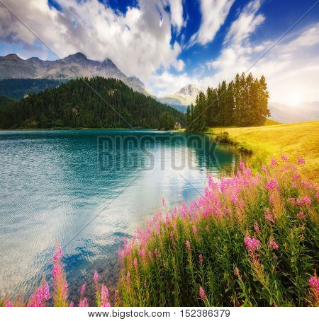 Fantastic view of the azure pond Champfer. Picturesque scene. Location: resort Silvaplana village, district of Maloja in the Swiss canton of Graubunden, Alps. Europe. Artistic picture. Beauty world.