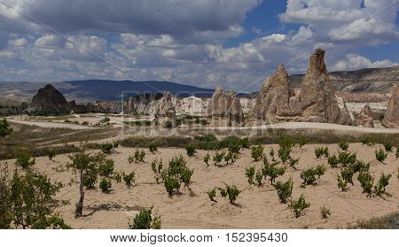 Rock formations and wineyard in White valley landscape Turkey