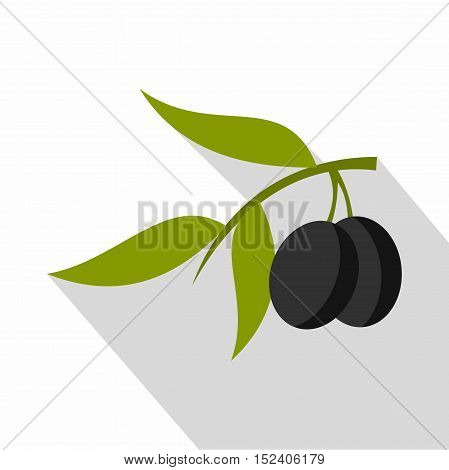 Fresh olive tree branch with olives icon. Flat illustration of olive tree branch vector icon for web isolated on white background