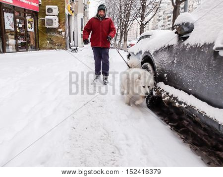 Bucharest Romania 5 January 2016: A man walks his dog during a snowfall in Bucharest.