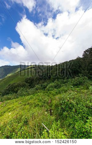 Mountain landscape, Viewpoint of Kio Mae Pan, Chiang Mai, Thailand