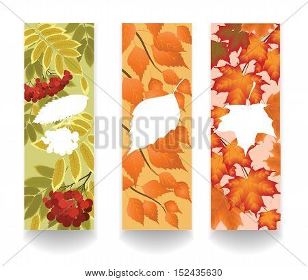 Three vertical banner with autumn leaves of maple rowan and birch trees vector illustration