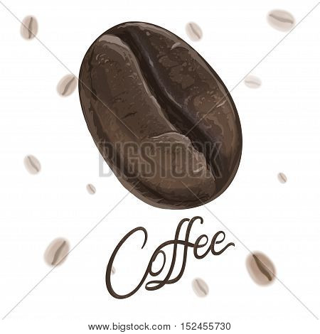 Coffee bean in a realistic style vector illustration