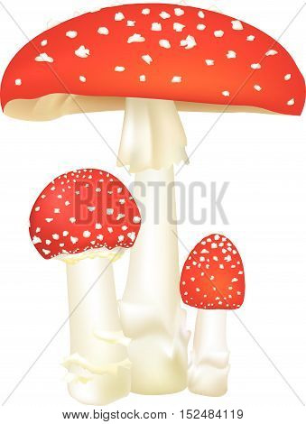 Print