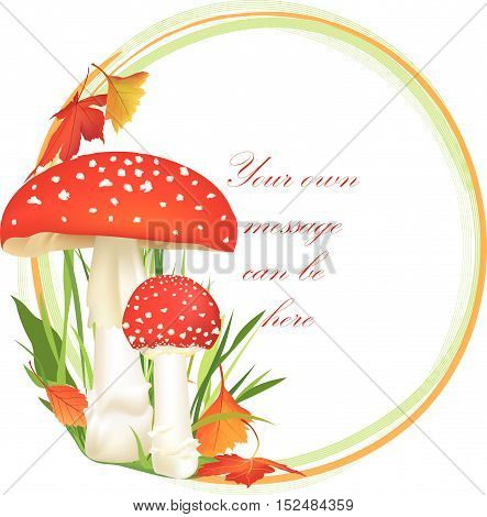 Mushrooms-frame-4A-autumn