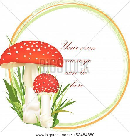 Mushrooms-frame-4A-autumn