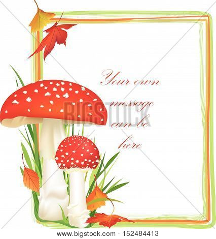 Mushrooms-frame-8