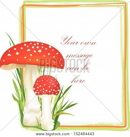 Mushrooms-frame-8