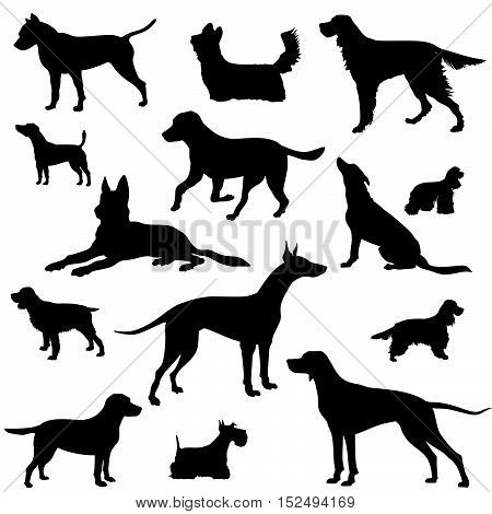 Dog-all-1