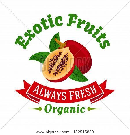 Tropical fruit icon of ripe red tamarillo with whole and cut in half fruits, green leaves and ribbon banner below. Exotic dessert, cocktail menu or juice packaging design