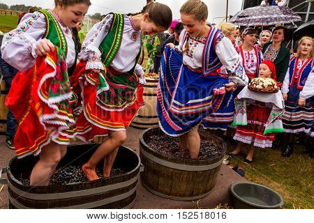 Bobovische Ukraine - 2016 October 16: Girls in traditional costumes crushed underfoot grapes in a barrel during etnofestival Bobovischanske Grono 2016.