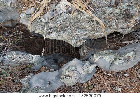 Cleft Or Split In The Rocks, Small Cave, Dry Grass