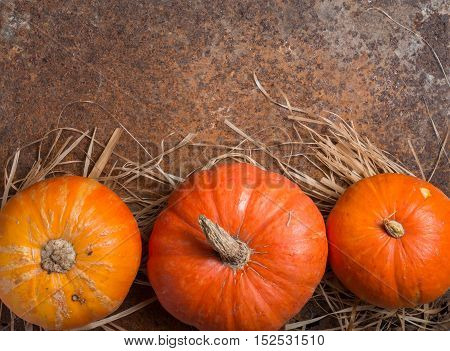 Autumn Pumpkin Thanksgiving Background - orange pumpkins over rusty metal background, top view