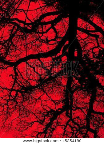 Arterien