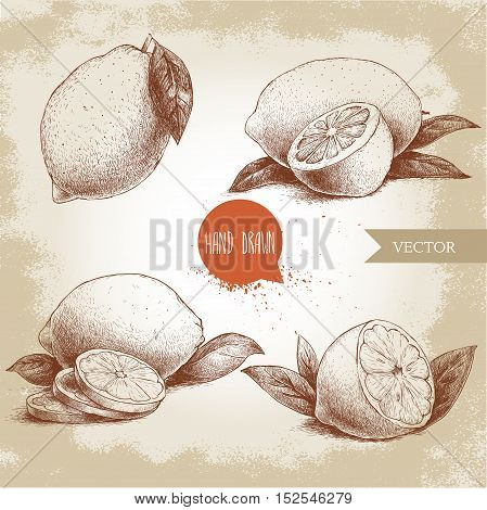 Hand drawn sketch style set of lemon fruit with leafs and sliced lemon. Retro vector illustration.