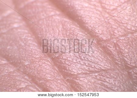 Close up of Human Skin (Under Foot)