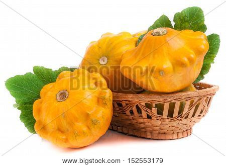 yellow pattypan squash with leaf in a wicker basket isolated on white background.