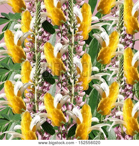 Beautiful floral background with pink lupine and pachystachys