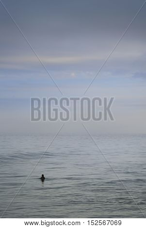 Girl taking an early morning swim in the sea