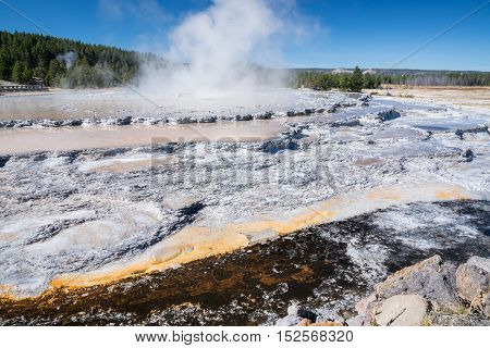 Great Fountain Geyser along Firehole Lake Drive in Yellowstone National Park Wyoming