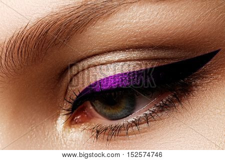 Elegance Close-up Of Beautiful Female Eye With Fashion Eye Shado