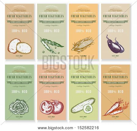 Vegetable seeds packets template. Vector hand drawn ink sketch vegetable banners set. Eco vintage foods.