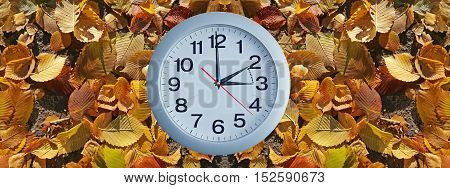 Isolated Electronic Wall Clock.