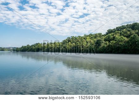 River bank with green trees near clear water and blue skies