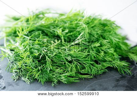 Bunch of fresh dill on a table.