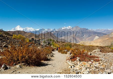 Trail leading towards Muktinath, Daulagiri rising in the back. Sacred place for Hindus and Buddhists.