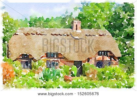 Digital watercolor painting of a lovely picture postcard quintessentially English thatched cottage in the New Forest in the UK on a sunny day. Picture taken from a public place.