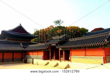 Gyeong Bok palace2 afternoon sunlight in seoul