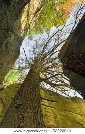 Mohonk Preserve