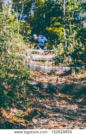 nature shot in the fall on a walking trail