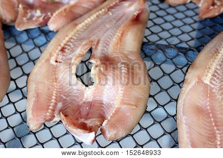 Striped Snakehead Fishes Dried In The Sun For Sell In Open Market, Thai Market Store.