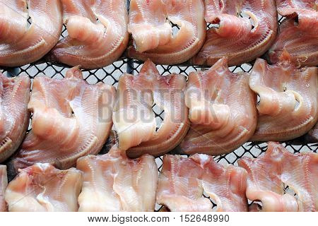Striped Snakehead Fishes Dried In The Sun For Sell In Open Market, Thai Market Store.
