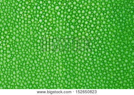 close up green texture leather shagreen background