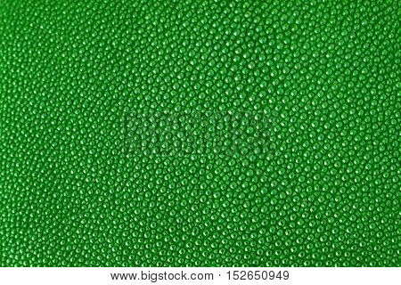 close up green texture leather shagreen background
