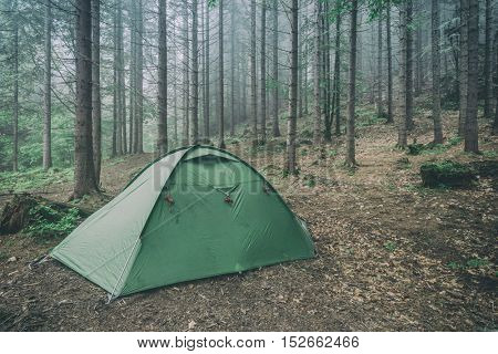 green tent on forest closeup, toned like Instagram filter