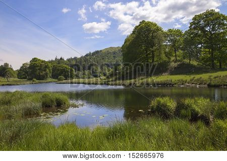 Summer at Elterwater, The Lake District, Cumbria, England