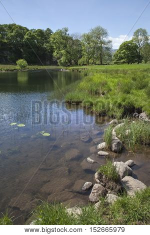 Summer at Elterwater, The Lake District, Cumbria, England