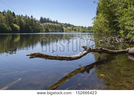 Still waters at Tarn Hows, Lake District, Cumbria, England