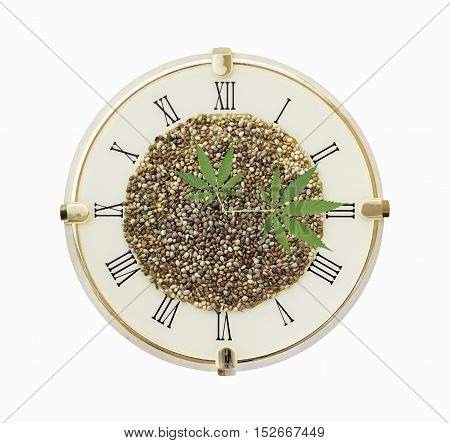 Clock with hemp seeds and hemp leaf arrows isolated on white background